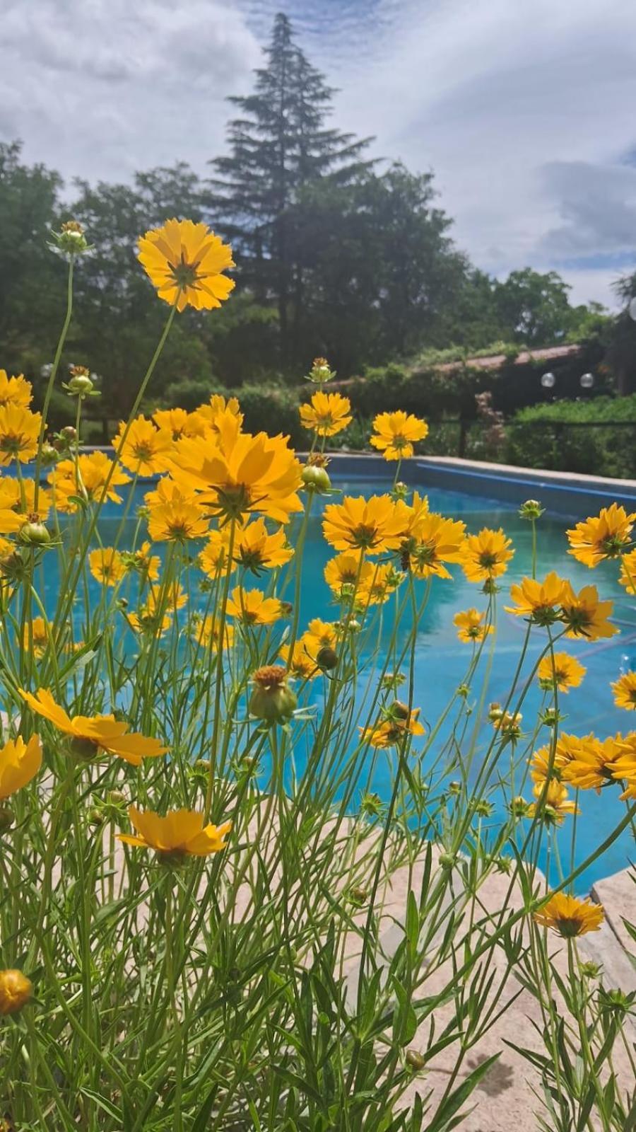 Hosteria Pastoral & Spa La Cumbre Εξωτερικό φωτογραφία